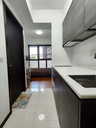 Sims Urban Oasis (D14), Condominium #453950941